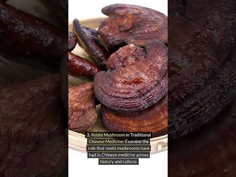 10 Think About Reishi Mushroom.